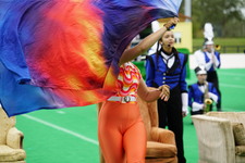 Enlarge photo 299