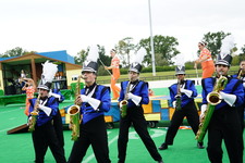 Enlarge photo 382