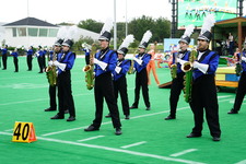 Enlarge photo 392