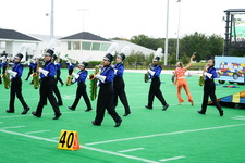 Enlarge photo 393