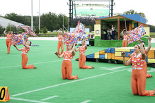 Enlarge photo 409