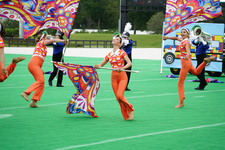 Enlarge photo 431