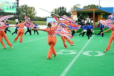 Enlarge photo 441