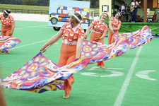 Enlarge photo 457