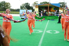 Enlarge photo 460