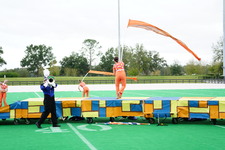 Enlarge photo 482