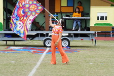 Enlarge photo 313