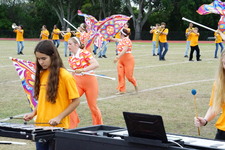 Enlarge photo 337