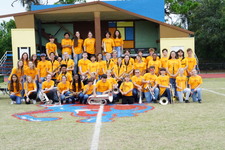 Enlarge photo 431