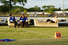 Enlarge photo 49