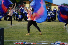 Enlarge photo 217