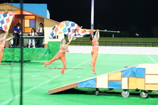 Enlarge photo 161