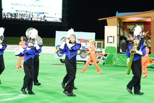 Enlarge photo 169
