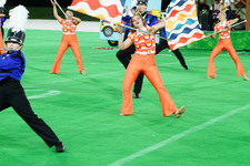 Enlarge photo 195