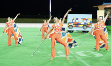 Enlarge photo 233