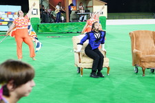 Enlarge photo 240