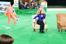 Enlarge photo 241