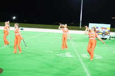 Enlarge photo 248