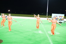 Enlarge photo 249