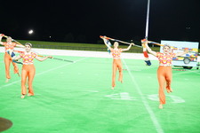 Enlarge photo 251