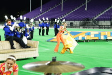 Enlarge photo 270