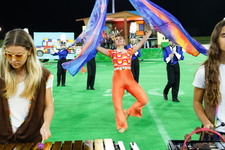 Enlarge photo 302