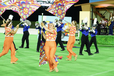 Enlarge photo 398