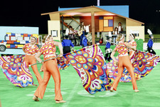 Enlarge photo 409