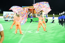 Enlarge photo 417