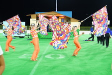 Enlarge photo 419