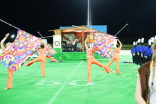 Enlarge photo 423