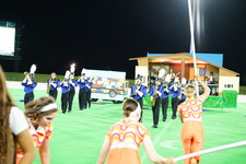 Enlarge photo 431