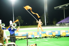 Enlarge photo 441