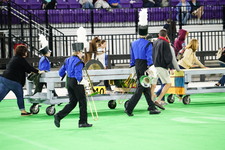 Enlarge photo 469