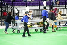 Enlarge photo 468