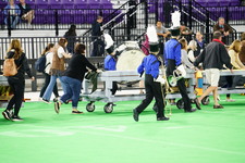 Enlarge photo 473