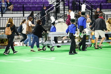 Enlarge photo 474