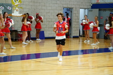 Enlarge photo 253
