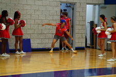 Enlarge photo 291