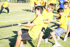 Enlarge photo 62