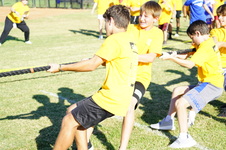 Enlarge photo 63