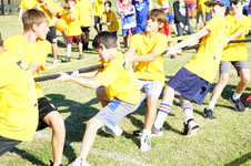 Enlarge photo 65