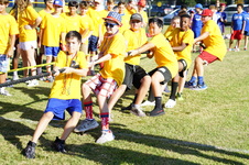 Enlarge photo 153