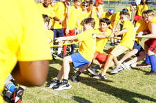 Enlarge photo 206