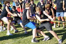Enlarge photo 237
