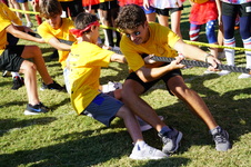 Enlarge photo 304