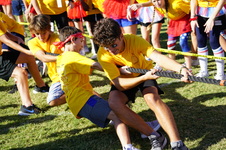 Enlarge photo 305