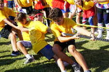 Enlarge photo 306