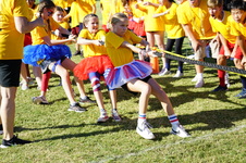 Enlarge photo 372