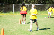 Enlarge photo 486